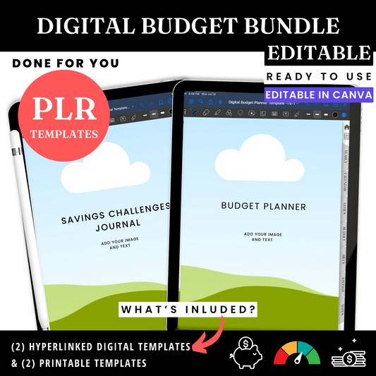 Digital Budget BUNDLE Template - PLR