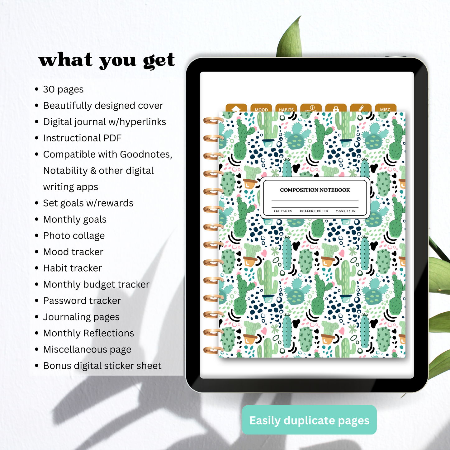Fan-Cactus Digital Journal