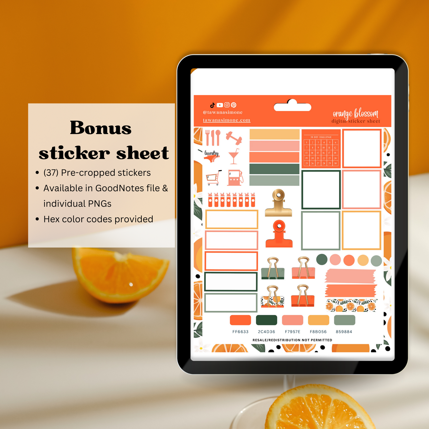 Orange Blossom Digital Journal